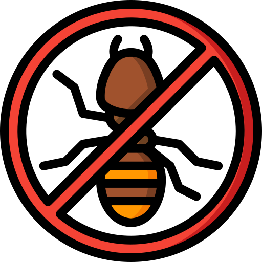 termite treatement
