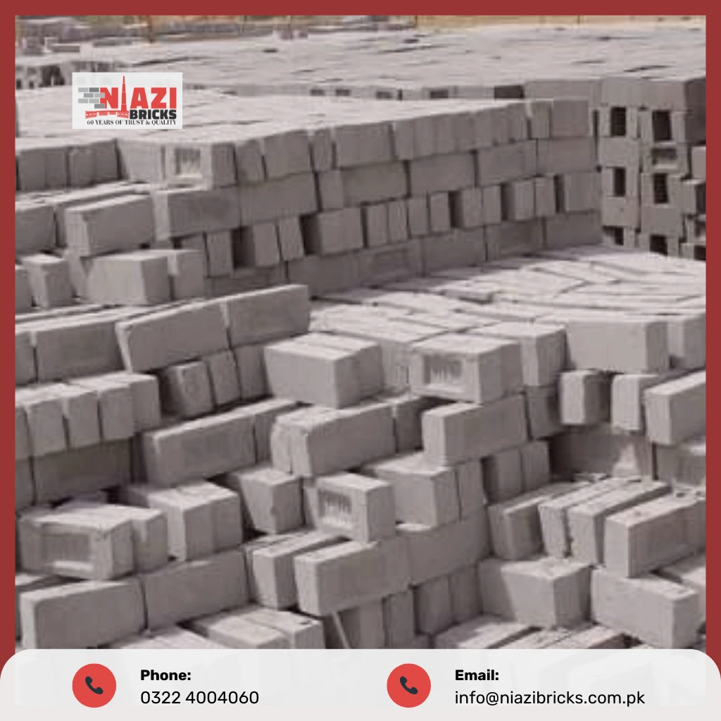 Fly Ash Clay Bricks