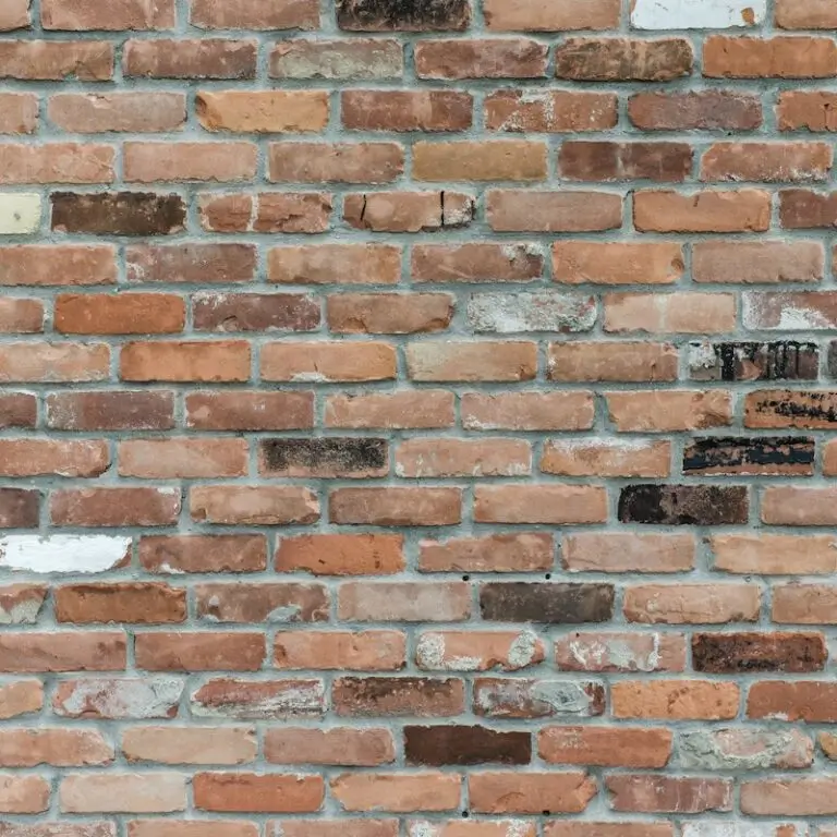 Facing Items Bricks in Pakistan